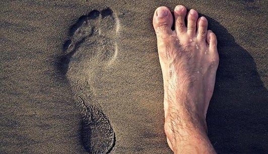 barefoot_brain_blog_4-high-mpk05n
